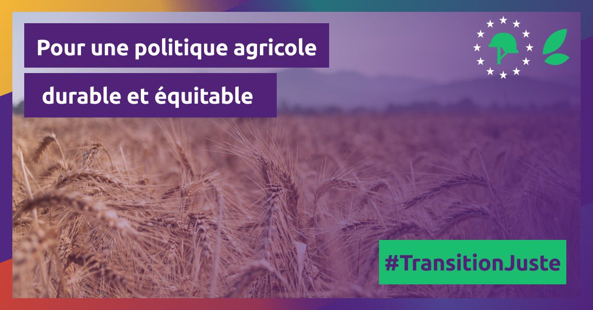 Le Parlement européen abandonne le volet vert de la #PAC. Volt France dénonce cette décision qui sacrifie l'environnement au profit des grands lobbies. Il est temps de repenser une PAC qui soutient les petites exploitations et promeut des pratiques régénératrices.