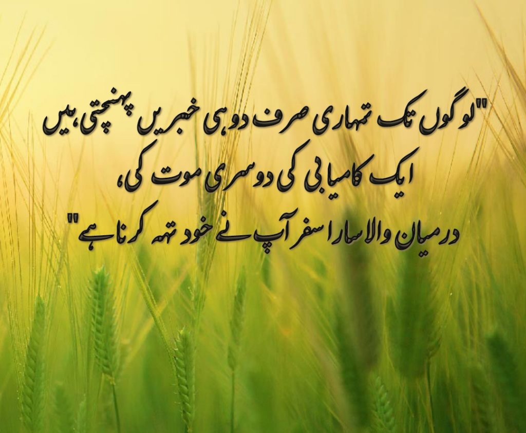 Sach Bat Ha.