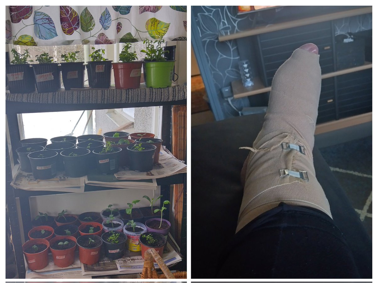 Huamenet Muruut👋,eip lähe tän pä käyntiin si millään,taimia mullittanu ja pannu isompiin ruukkuhin,taitaa kualla nekin ennenku kerkee ulos ja kasvihuaneeseen(joka nurkal kokoomati😤),olis tuhat ja sata hommaa,ja nu viä niksahti nilakkaki👿,mut mukavata torstakii nu kuiteskii😘😻