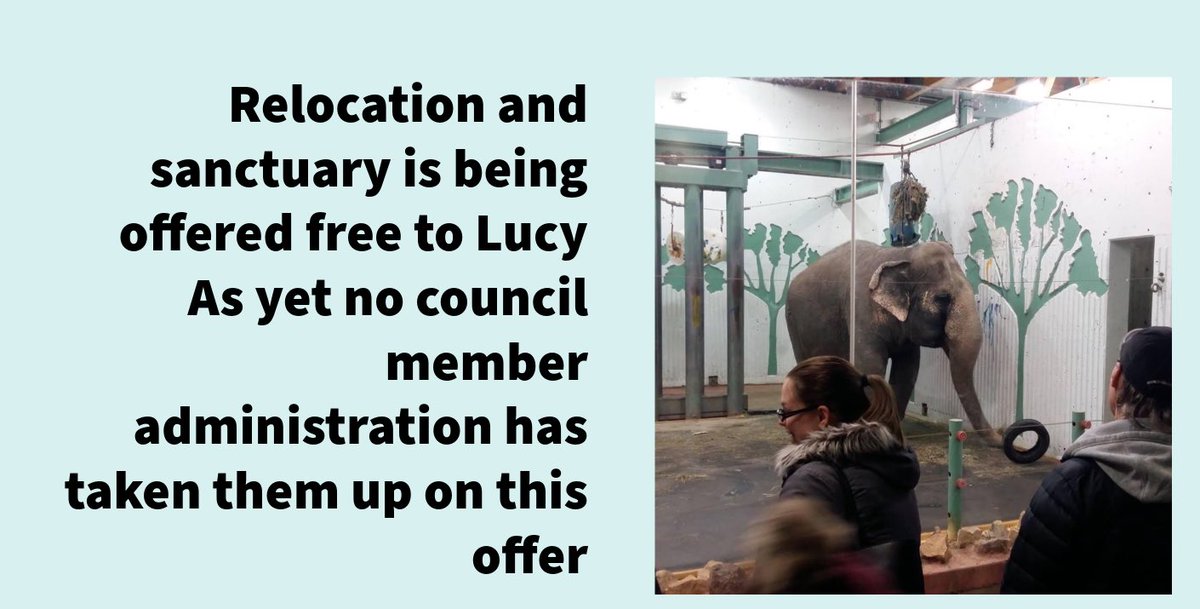 Pupils to #YegZoo should be taught that modern science tells U that no 🐘should be kept alone.
They will see #YegZoo is not capable of offering 🐘🐘 a species appropriate🏠
So the discussion should be how & when can #Yegzoo move #Lucy to sanctuary & allow the kids 2👀 her journey