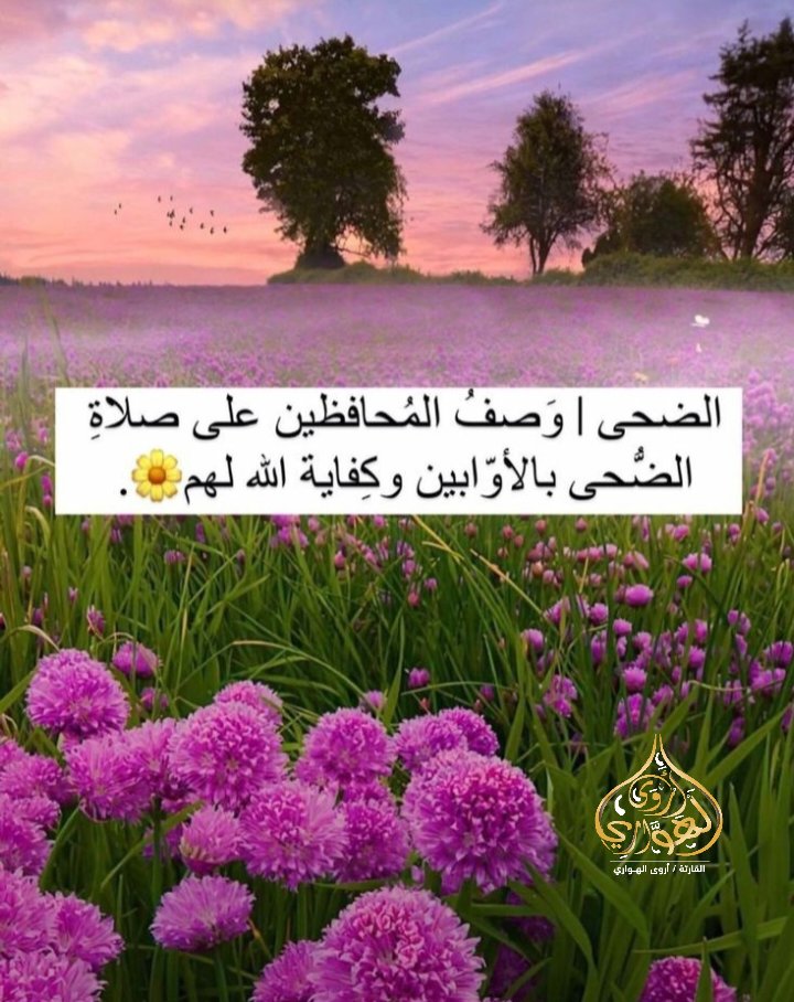 صلاة الضحي 🌸🌷

#القارئة_أروي_الهواري | #القارئة | #أروي_الهواري | #القرآن_الكريم | #quran_kareem | #صلاة_الضحي