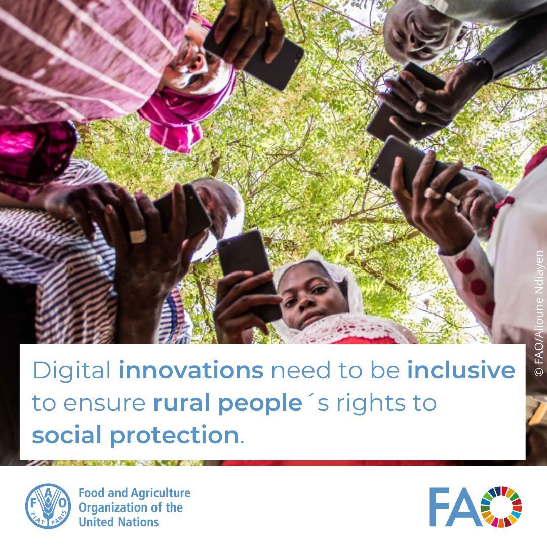 Digitalization for #SocialProtection in rural areas improve: ✅ Data accuracy, transparency & monitoring ✅ Information access for beneficiaries, specially women ⚠️ It may widen existing gaps Read @FAO policy guidance for benefits & risks: buff.ly/3xAh1dL #GirlsinICT