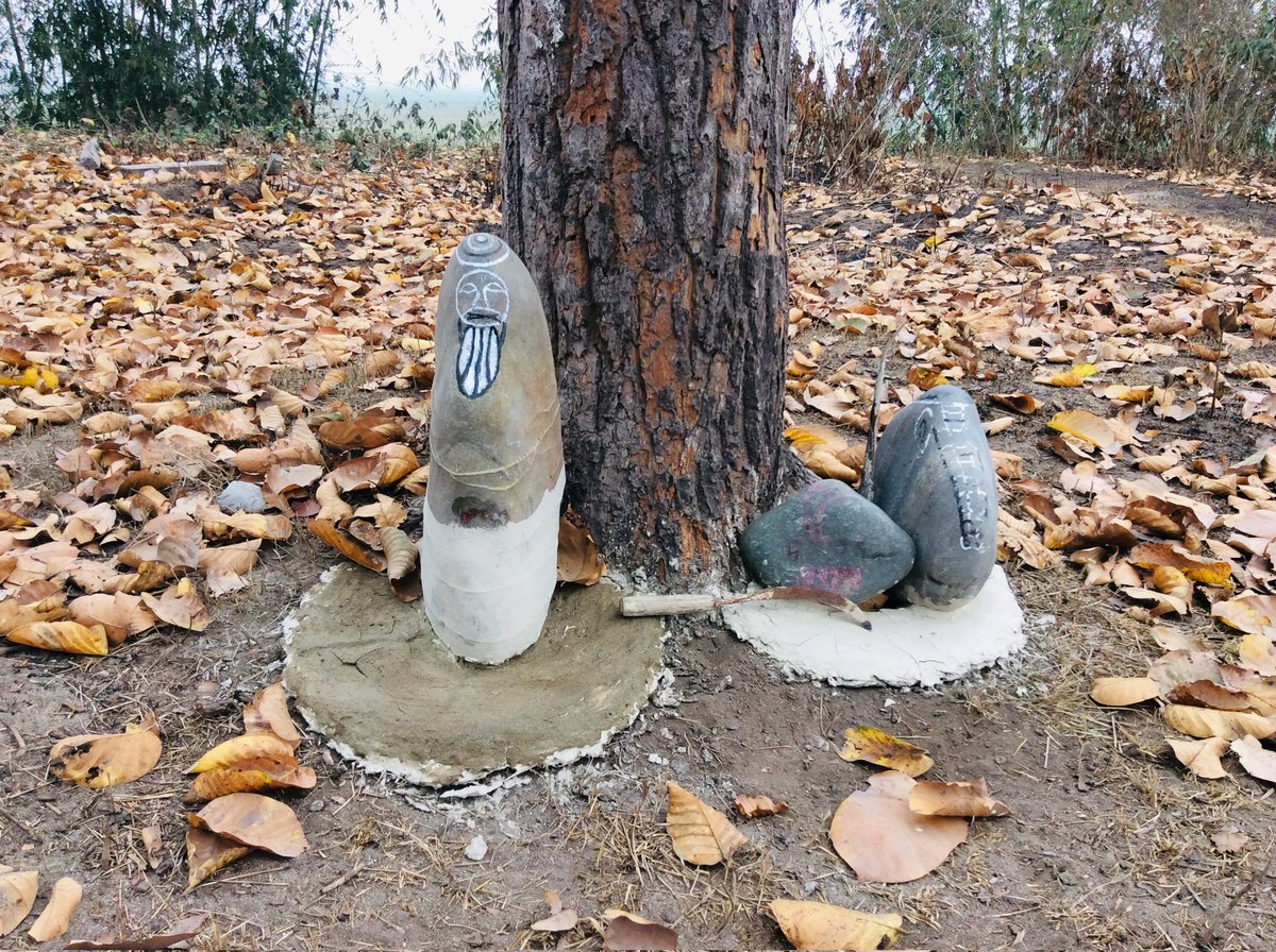 Praying to rocks for protection from elephants #humananimalconflict #Jalpaiguri #Dooars @TheCitizen_in thecitizen.in/life/the-eleph…