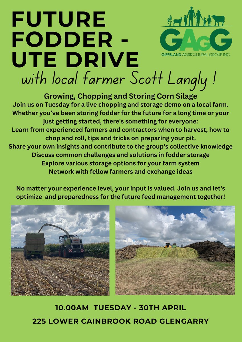 Ton van Dijk (@tonvandijk14) on Twitter photo 