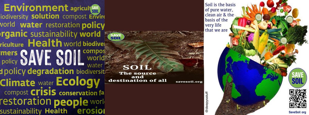 Over the past two centuries, the net CO2 emission from soils has increased by 8% due to land conversion and unsustainable management. – Policy Brief COP28
Let’s write a letter to our leaders #PolicyForSoil savesoil.org/write