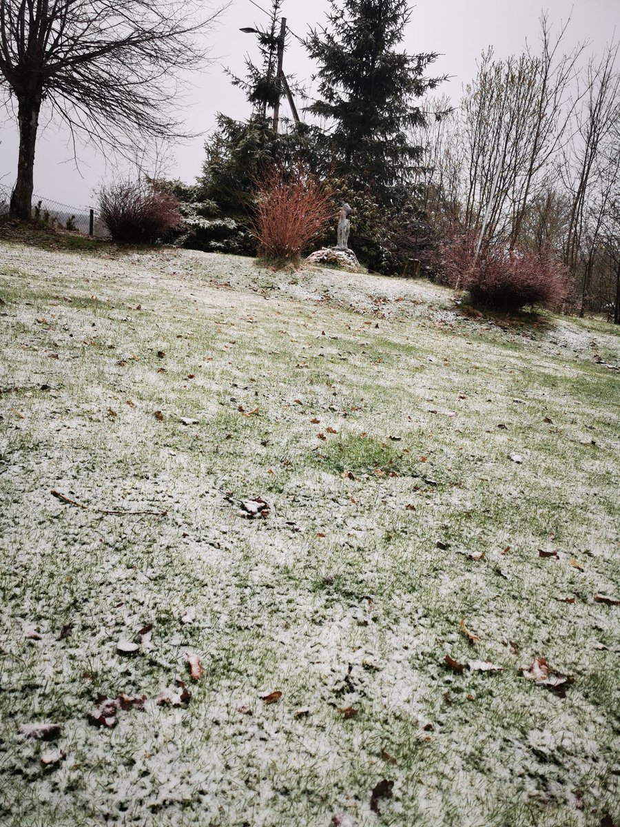 Snö igen. Har jag legat i dvala under sommaren? ... Är det vinter? Har hockeysäsongen startat igen? Klart förvirrad.