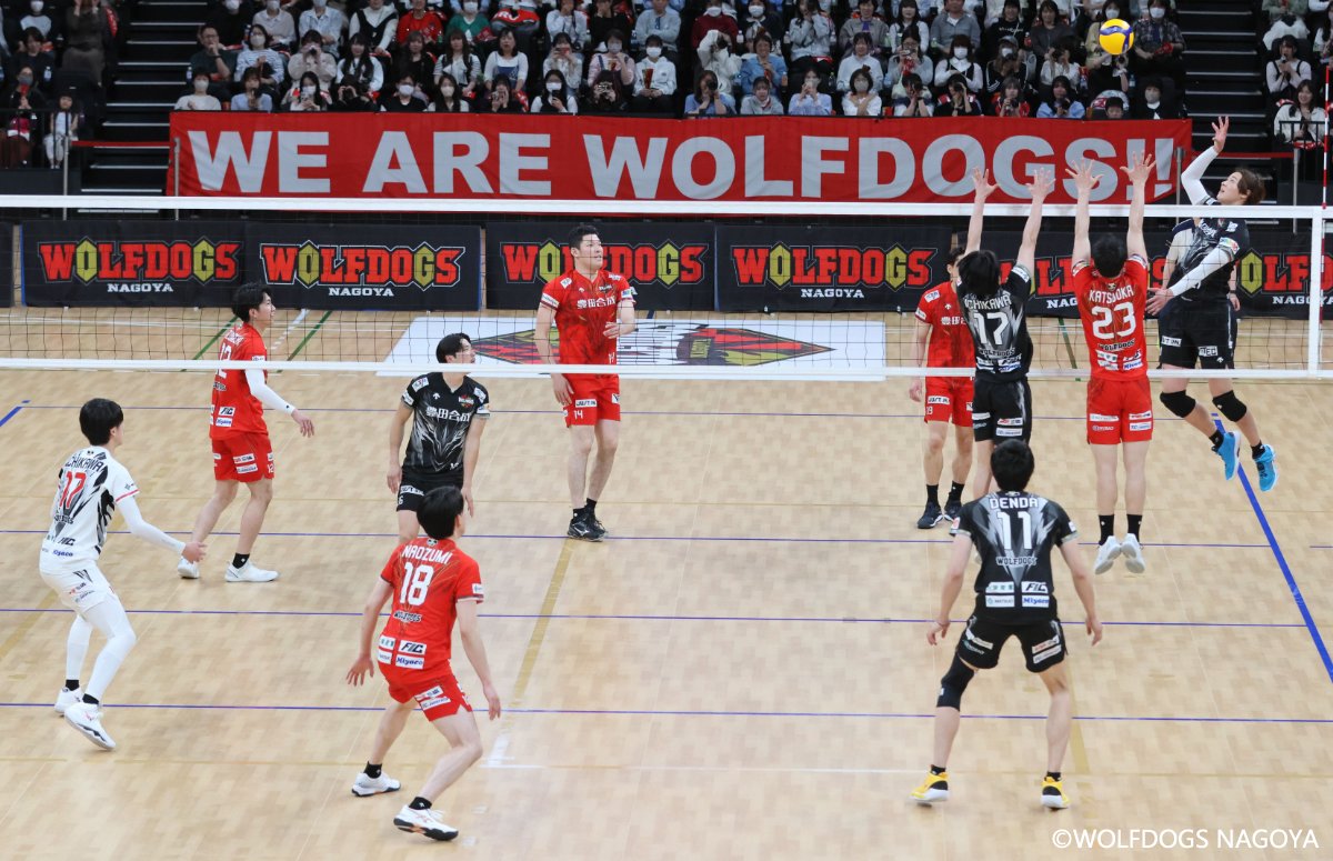 Wolfdogs_NAGOYA tweet picture