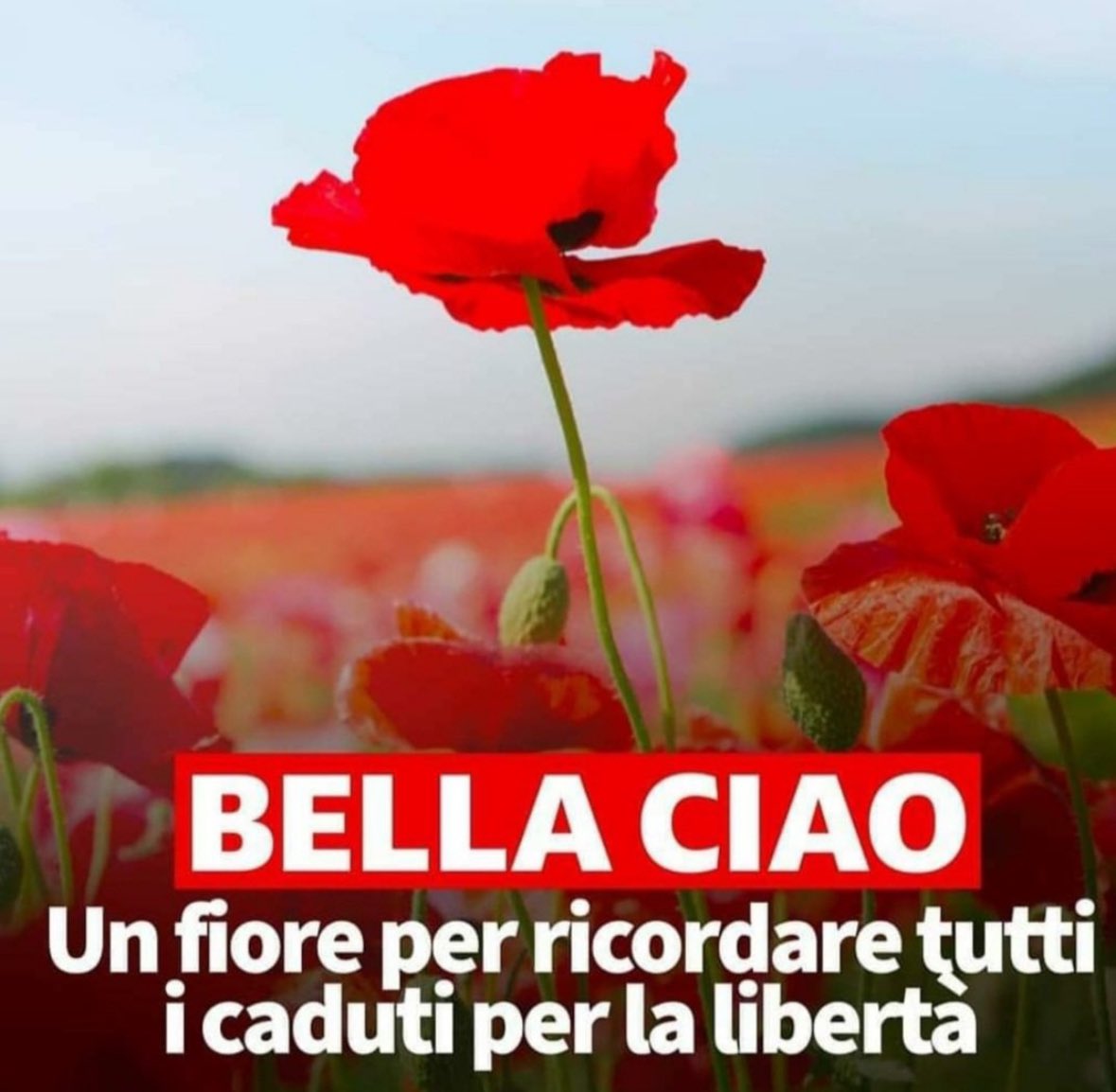La #Resistenza fu un fatto di popolo, una forte tensione ideale che si sviluppò in #Italia e in #Europa dando origine alle lotte per la libertà e la democrazia.
Fascismo e nazismo invece non sono opinioni, sono crimini.
Buon #25aprile a tutte e tutti noi! #davidesassoli