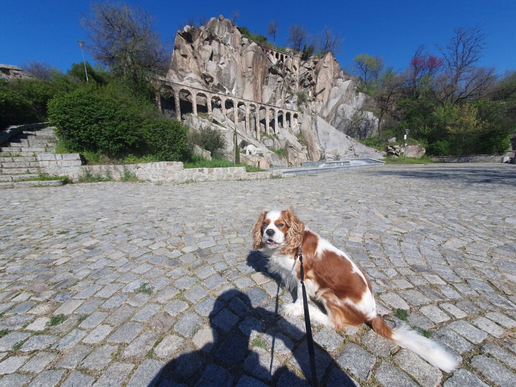 Plovdiv in Bulgaria is a fantastic city to visit, and there are lots of things to see or do. We enjoyed nearly a month in the city with Henry, our dog. rjontour.com/plovdiv-attrac… #EarlyBiz #travelblog #bulgaria