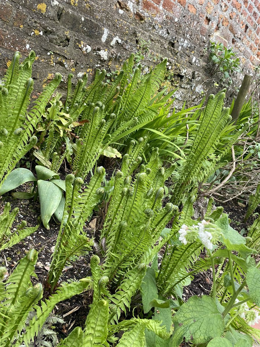 Planning with ⁦<a href="/northyorkshire_/">York police (NYP)</a>⁩ yesterday for their May Chief Officer CPD event. Looking forward to it. Working on knowledge confidence &amp; application. Appreciate the invitation ⁦<a href="/TheVKPP/">VKPP Vulnerability Knowledge & Practice Programme</a>⁩ ⁦<a href="/CollegeofPolice/">College of Policing</a>⁩ #safeguardingchildren #partnerships #goodgovernance