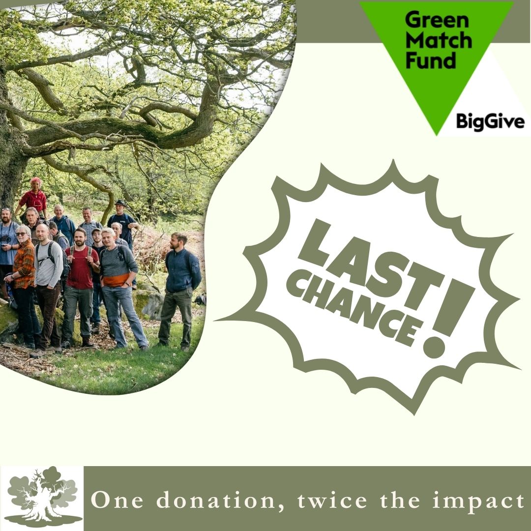 Big Give’s Green Match Fund Today is the final day of our Big Give campaign. Thank you to everybody who has supported the campaign, please consider donating before 12 noon TODAY to support our local groups: tinyurl.com/544tjxbv @biggive #GreenMatchFund