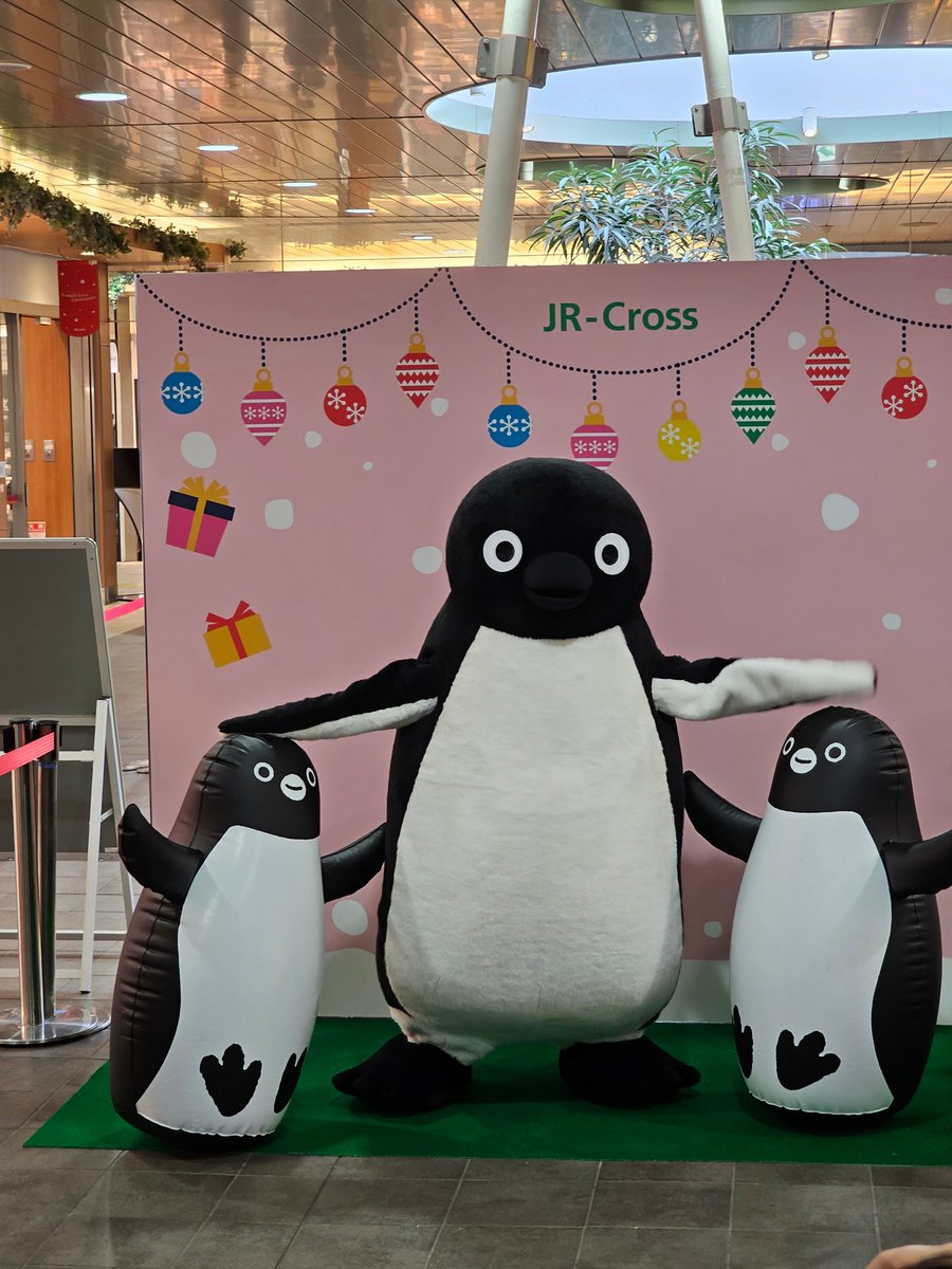 Suicaのペンギンくんはアデリーペンギンがモデルとなっています😀