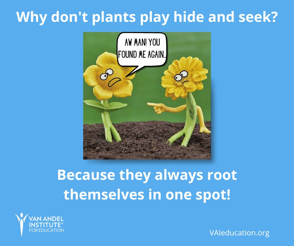 A friendly reminder that it's always important to 'branch' out. 😄🌿

#ScienceJoke #VAIeducation #PlantHumor
