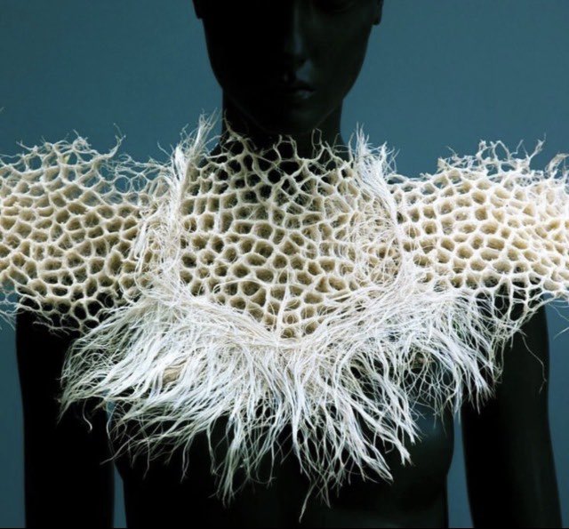 neck accessory created by bio-designer and underwater photographer Zena Holloway