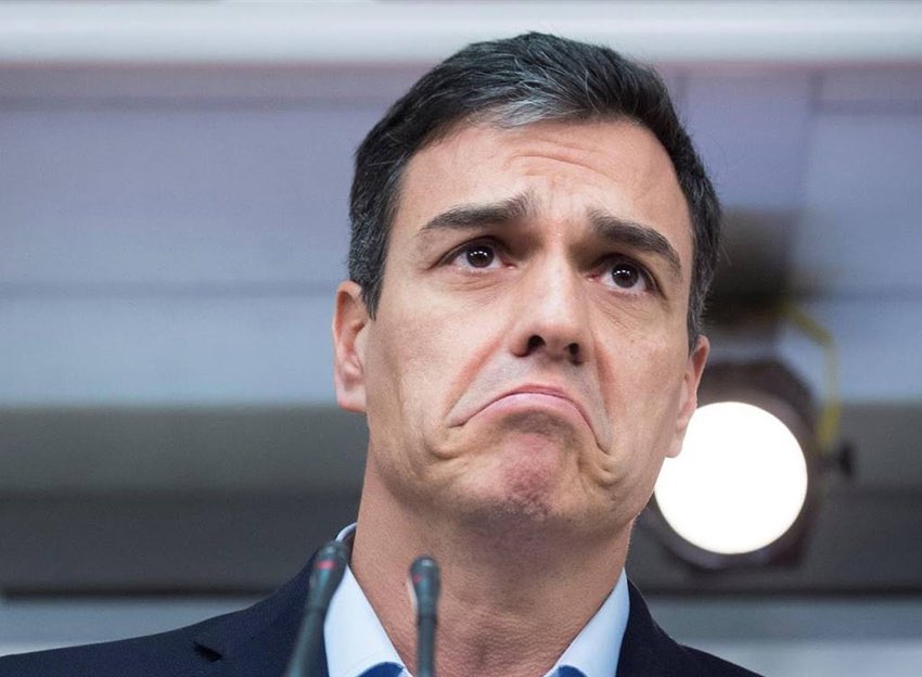 Es que sois unos malvados. No os da pena esta carita????