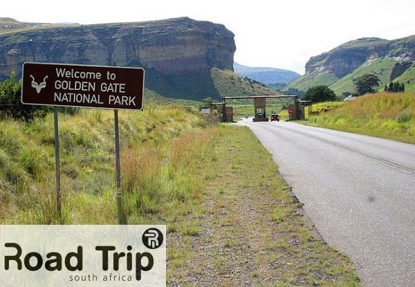 Find the locations of all the interesting places to see in the Golden Gate National Park on the Road Trip SA App. 

Download the:
bit.ly/RoadTripSA-App…
bit.ly/RoadTripSA-Goo…

Podcasts:
buzzsprout.com/1860462

#SANParks #nature #conservation South African National Parks