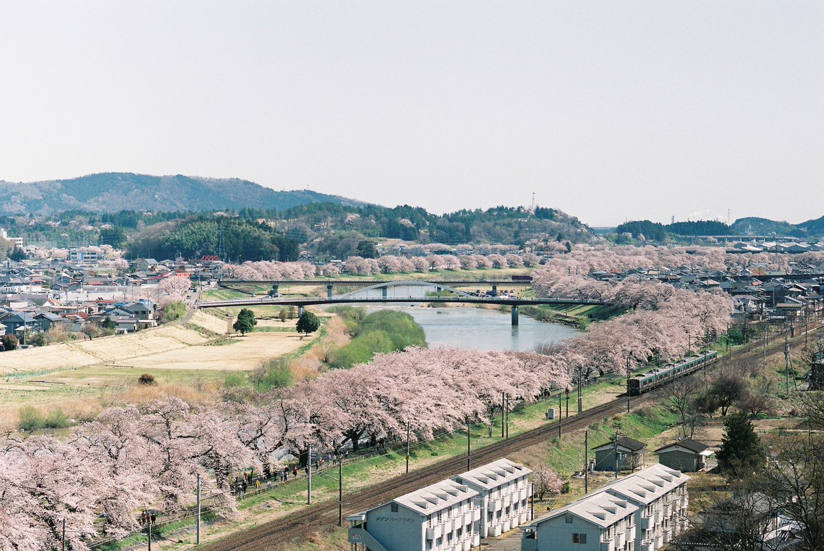 一目千本桜

#宮城県 #フィルム写真 #フィルムカメラ #photo #filmcamera #photography #travelphotography #travel #filmphotography #桜