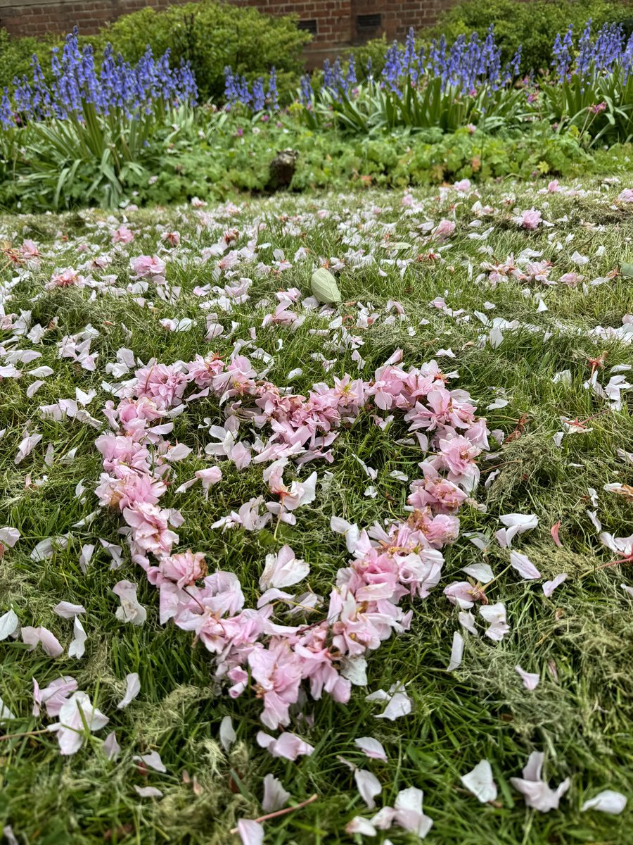 🍃🌸🍃 Make your #heart the most beautiful thing about Y🌸U !🍃🌸🍃
 
Good morning beautiful hearts ~🩷~

#ThankfulThursday
#Gratitude
#LittleThings