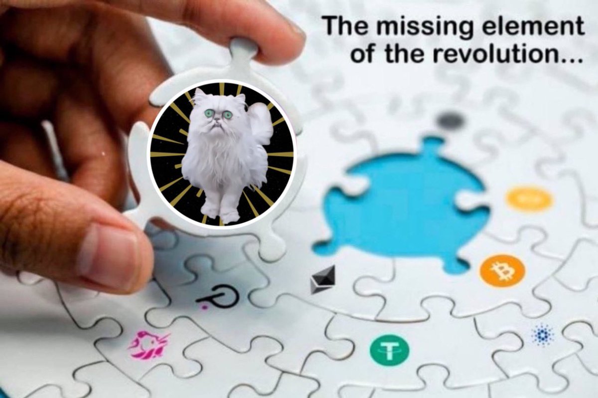 <a href="/cb_doge/">DogeDesigner</a> Wilfred $WILF

Wilfred cat. Famous meme as featured in viral video. Chart near highs, find safe entry. Community links below, dyor.

t.me/TheWilfredCoin
thewilfredcoin.com

AsXnS5WjwmZag6WXfpfvZUL4oXwL5jLevqgzuMzW8faa