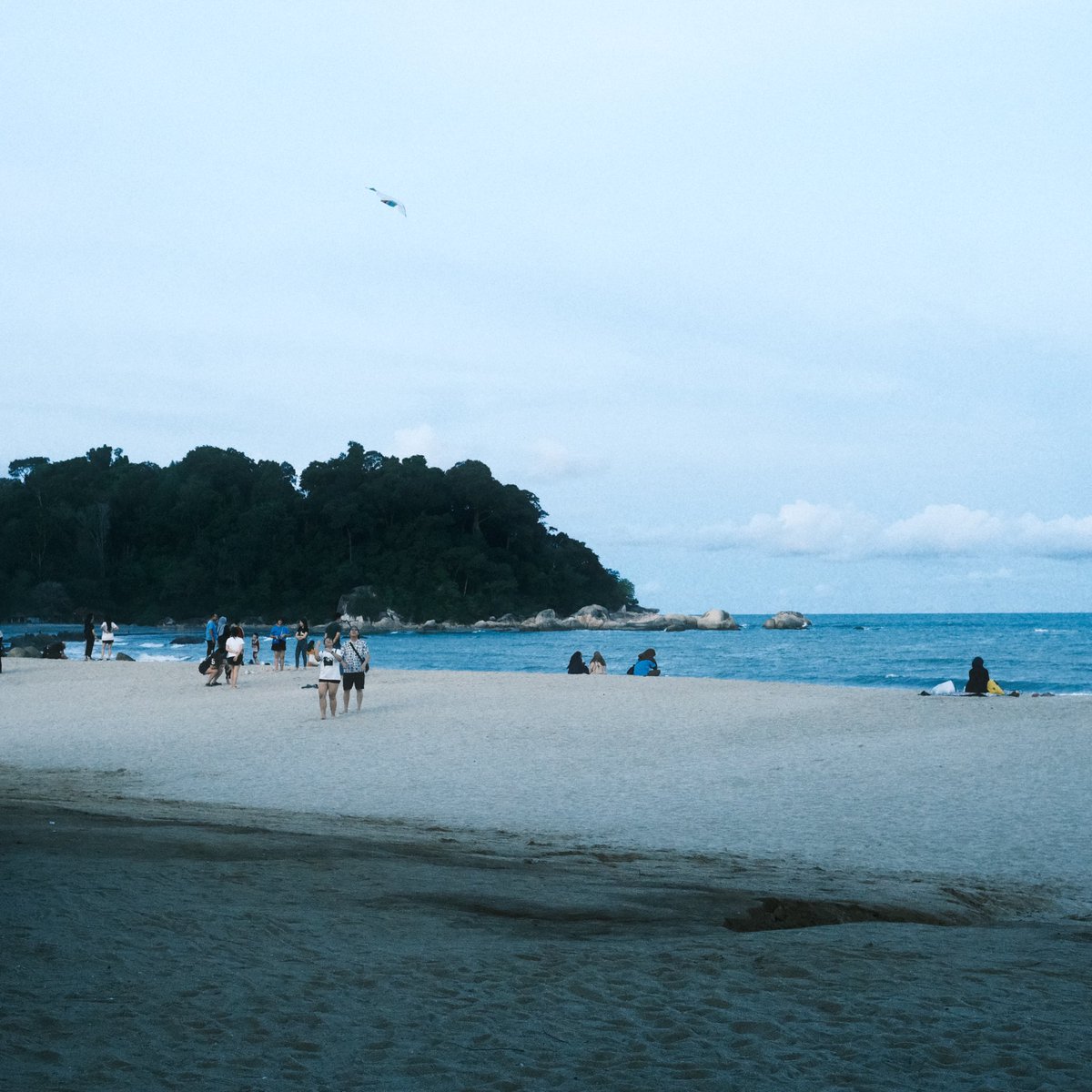 Teluk Cempedak on film.

Fujifilm X-E4, SOOC Positive Film.