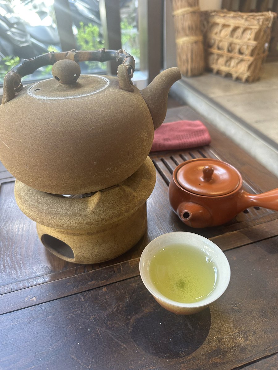 Japanese sencha kind of day 🍵