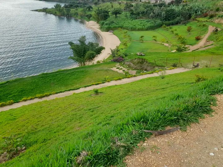 claude_852's tweet photo. Good morning 🌄 Rwanda
You're most welcome #Rutsiro #Boneza #kinunu #mentalhealth #MeditationBenefits #yoga #lakekivu #vistrwanda #Amarakivubeach 0780538384 https://t.co/RVXJ55pGIP