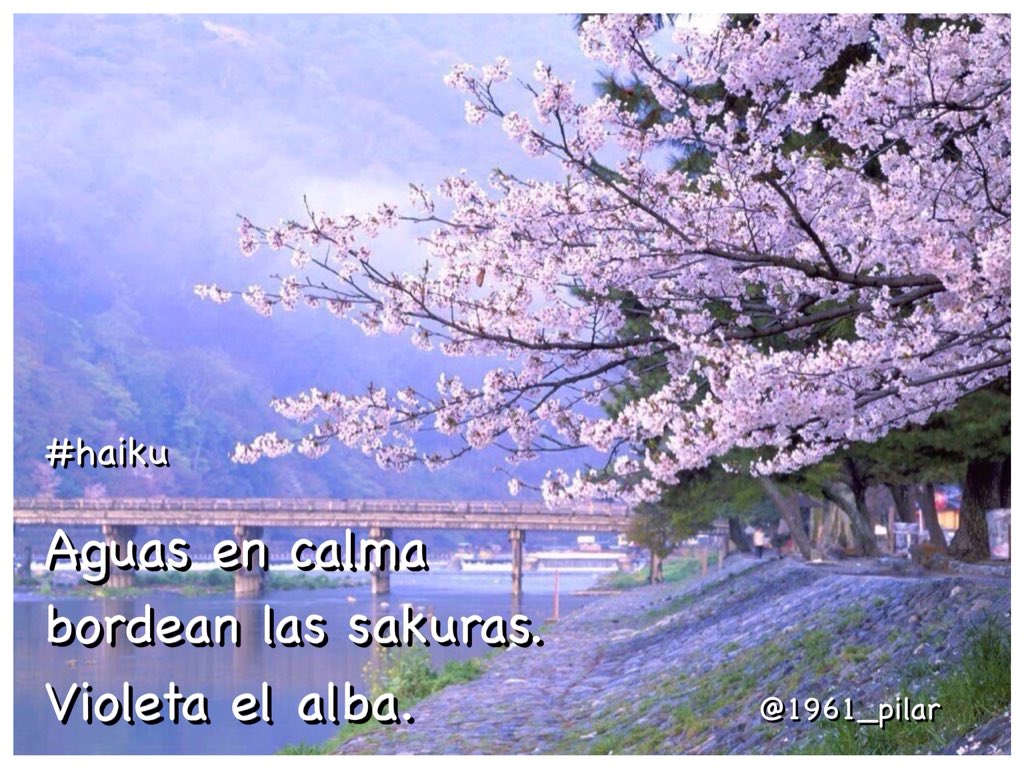 Un nuevo amanecer ¡Buenos días! Aguas en calma... ~haiku~ #LYF15 #VAFlorDePiel