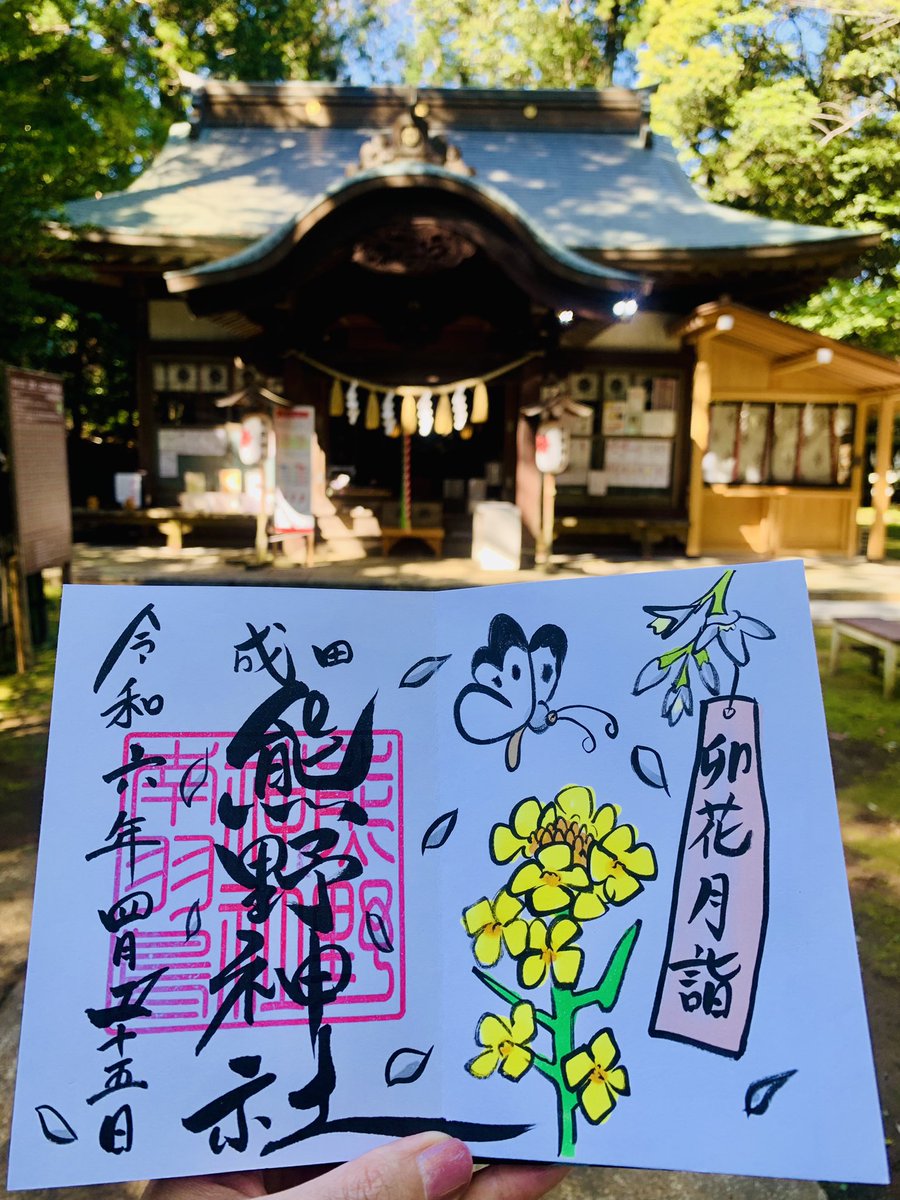 unachan0610's tweet photo. 千葉県　成田豊住熊野神社さん🐣🐸

今回の千葉県巡りの1番の目的です☺️
このひよこの御朱印🐣🧡
今月の御朱印で1番欲しかった、、祈願叶って拝受できました🥹お目目ウルウルで垂れ眉でたらこ唇で飼いたいぐらい🐥
他にも菜の花やカエ��など春らしい御朱印も拝受しました☺️はぁー満足🌿✨ https://t.co/yQAJ5lSfBT