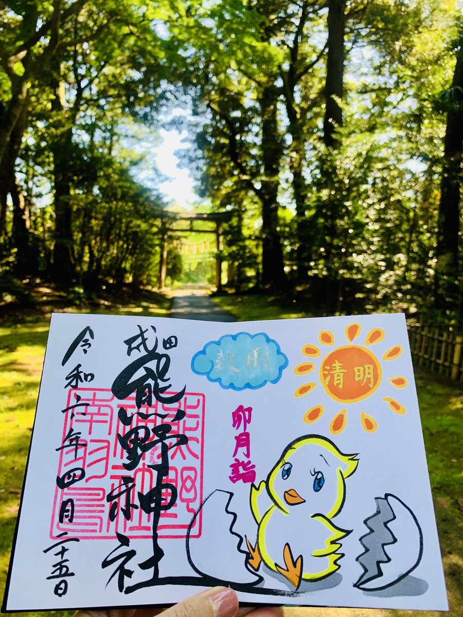 unachan0610's tweet photo. 千葉県　成田豊住熊野神社さん🐣🐸

今回の千葉県巡りの1番の目的です☺️
このひよこの御朱印🐣🧡
今月の御朱印で1番欲しかった、、祈願叶って拝受できました🥹お目目ウルウルで垂れ眉でたらこ唇で飼いたいぐらい🐥
他にも菜の花やカエ��など春らしい御朱印も拝受しました☺️はぁー満足🌿✨ https://t.co/yQAJ5lSfBT