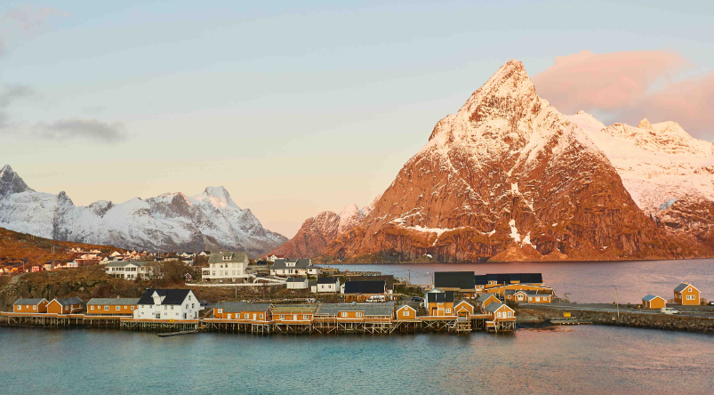 NATURE AMAZING 🌎 tweet media