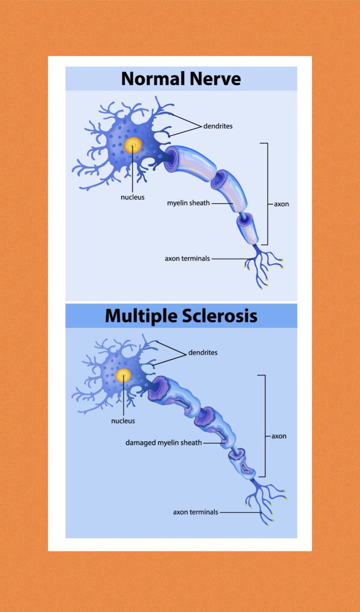 Day 4 of MS Awareness week #MSAwarenessWeek