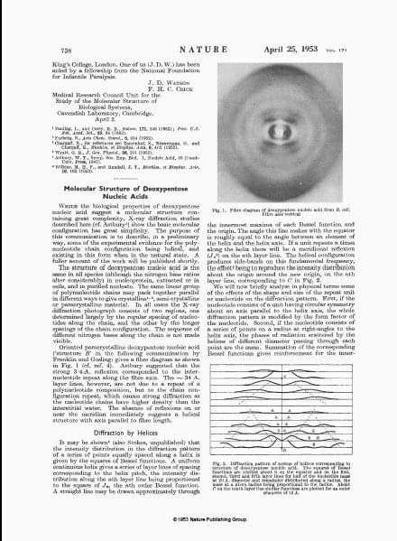 Un día como hoy, el 25/4/1953 se publicó, por primera vez, la estructura del ADN, en un brevísimo artículo de poco más de una página, uno de los artículos más importantes de la historia de la Ciencia, de los pocos que ha marcado un antes y un después.