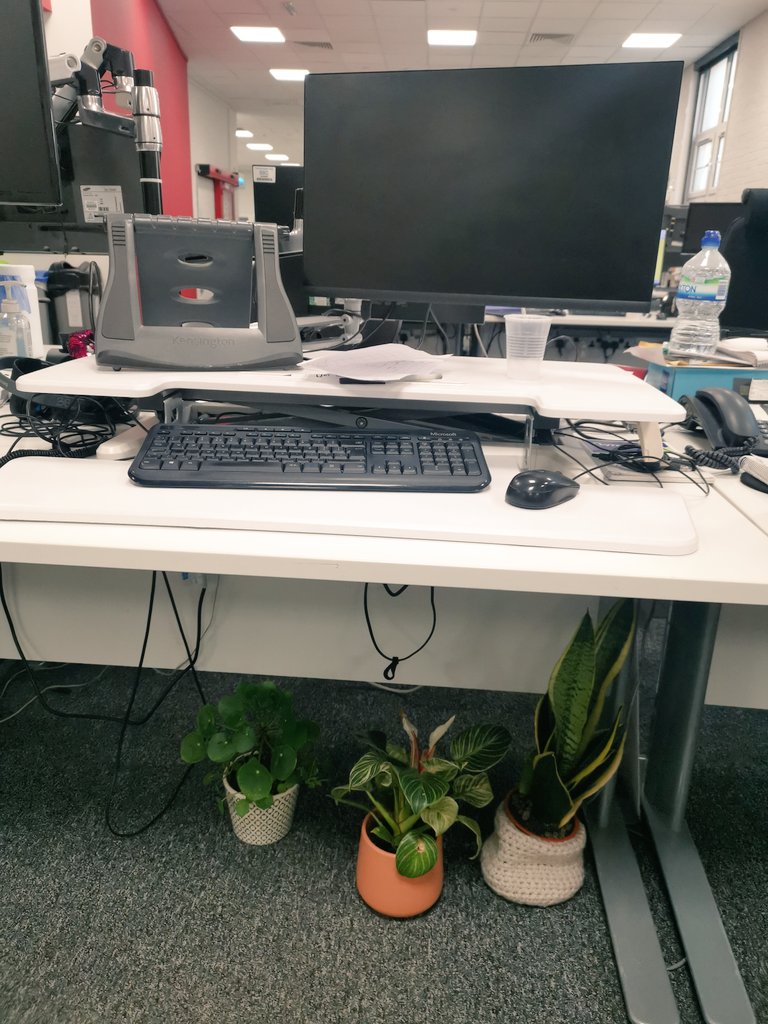 And the award for the strangest things to find under your desk goes to...