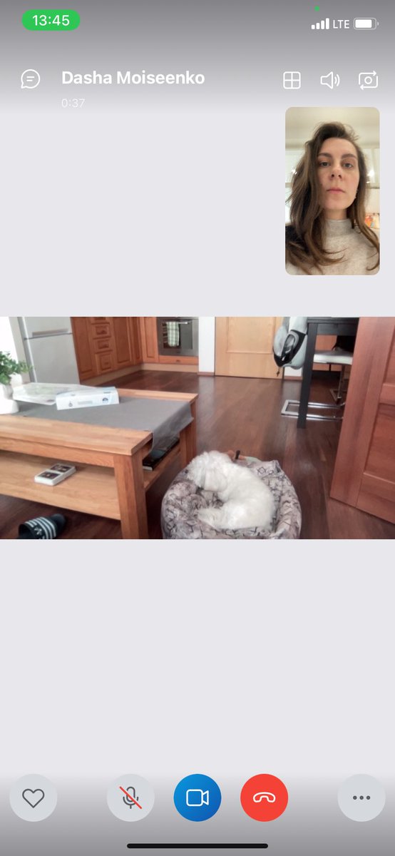 Звоню по скайпу, чтобы проверить как там Козюкич, пока мы гуляем по Праге.