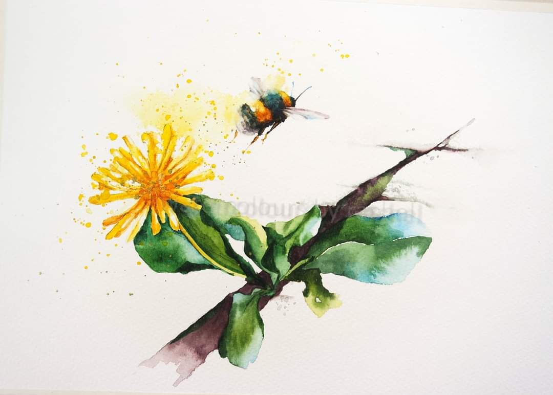 Beauty found between the cracks in the pavement.

Happy Thursday x

#watercolour #Watercolourpainting #dandelion #bumblebee #weeds #pollinator #nature #inspiration #savethebees #flowers #flight #painting #Devon #artist #art #paint