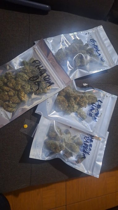 Un regalito que me mando @buddhafarmsmx  Chequen todo lo que tienen se ve super rico Les dejo su telegram😉 https://t<a class="tags" target="_blank" title="On Twitter" href="/?out=eyJ0eXAiOiJKV1QiLCJhbGciOiJIUzUxMiJ9.eyJpYXQiOjE3MjIxMDMyMzQsImlzcyI6InR3cG9ybnN0YXJzLmNvbSIsIm5iZiI6MTcyMjEwMzIzNCwiZXhwIjoxNzUzNjM5MjM0LCJyZWRpcmVjdF91cmwiOiJodHRwczovL3R3aXR0ZXIuY29tL2J1ZGRoYWZhcm1zbXgifQ.cvKjf2EFDj2yxQe4U7KvjVgQDv6NiTGLCNB1f49gvZEwhZKIISasnYMEWM76hqLu4Tts8VTpfObPH9r9fTxWJw">@buddhafarmsmx</a><a href="/tag/moon"class="tags"><span>#moon</span></a>
