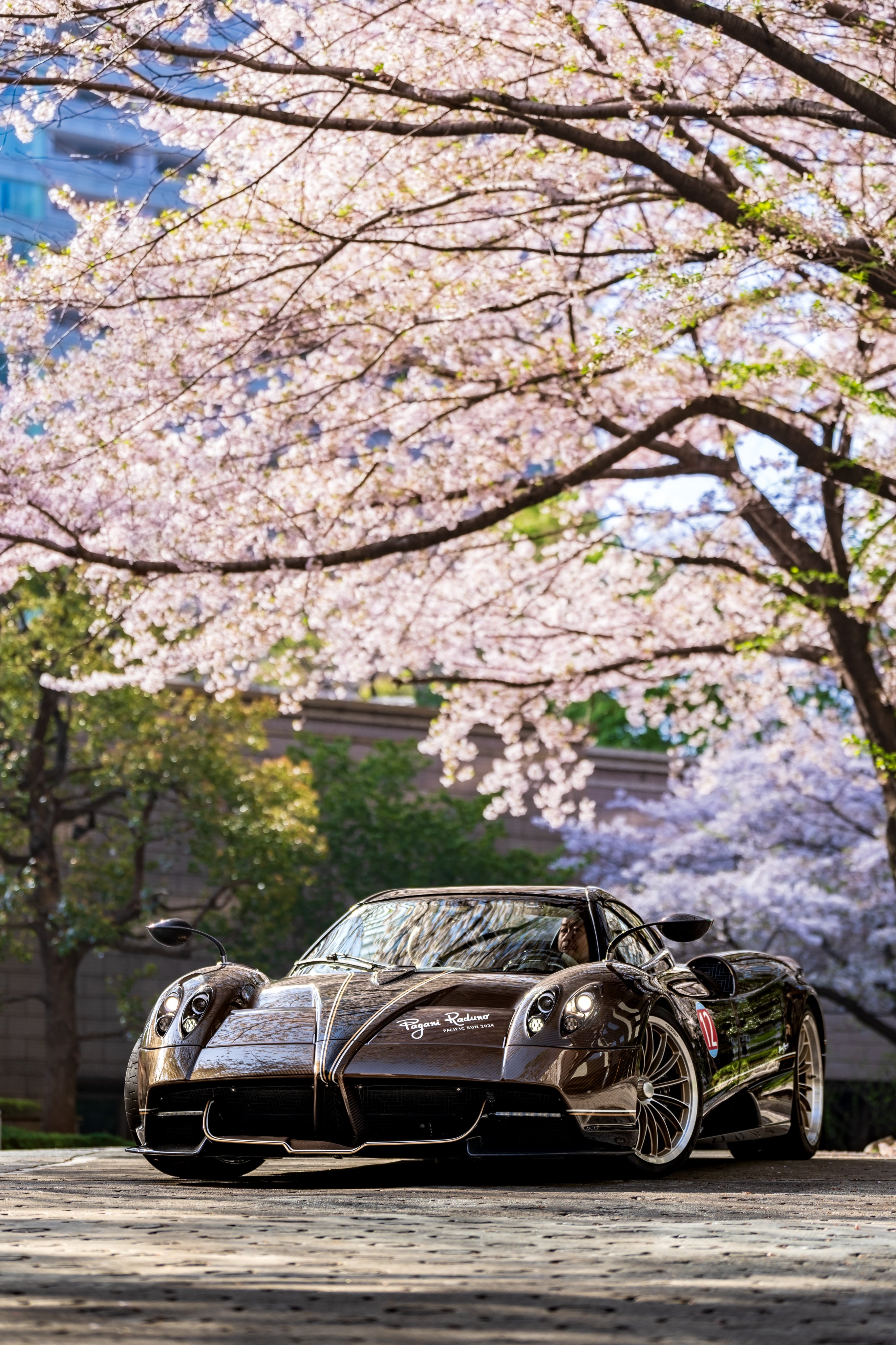 Pagani of Tokyo on X: 