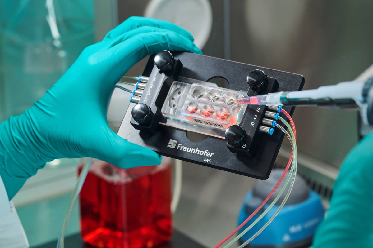FraunhoferIWS's tweet photo. New opportunity for #Cancer therapy: Miniature lab provides insights into #Metastases development. Researchers develope miniature #Lab systems capable of cultivating #Tumor tissue slices. More: https://t.co/bvKDk9s4kQ

#LightAtWork #CancerResearch https://t.co/SReLmS344U
