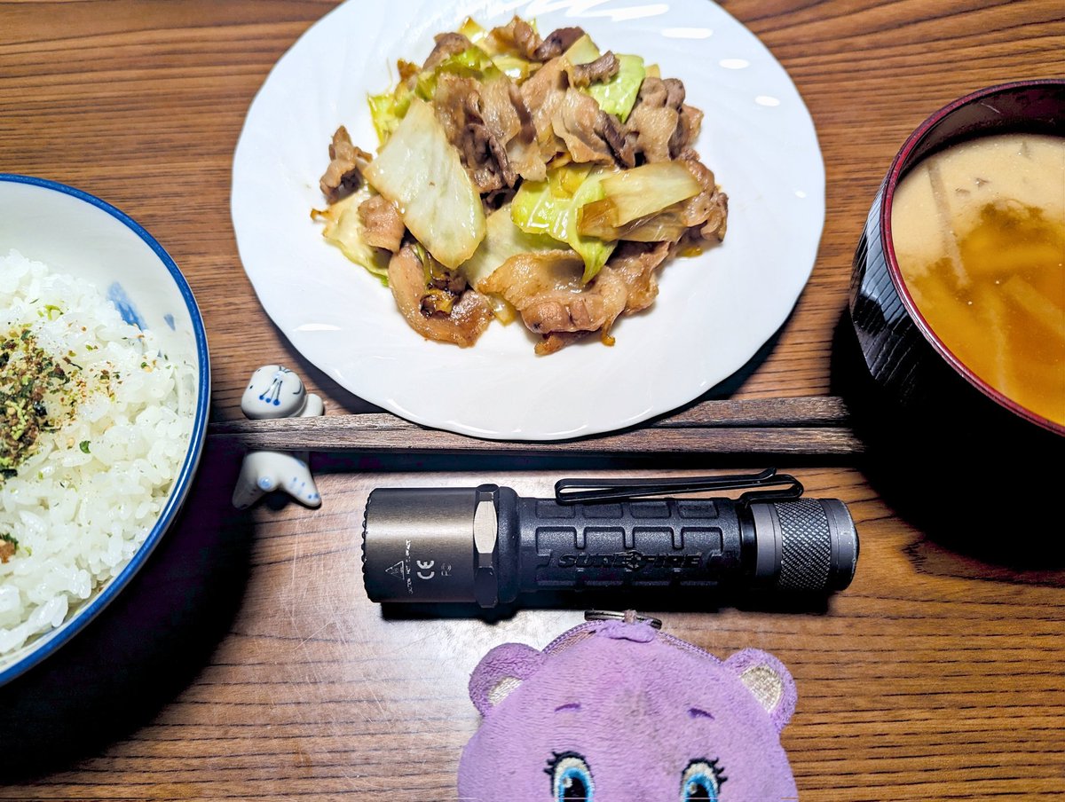 hg4eHPzmvVIEmWD's tweet photo. 野菜炒め✨🍚(´-(ェ)-`;)♥️🦸
#メシアンドライト #SUREFIRE #G2L #KX4 #シュアファイア #レゴ https://t.co/7wQaaH4PSt