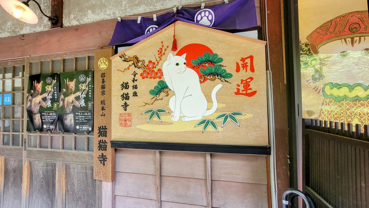 猫猫寺 