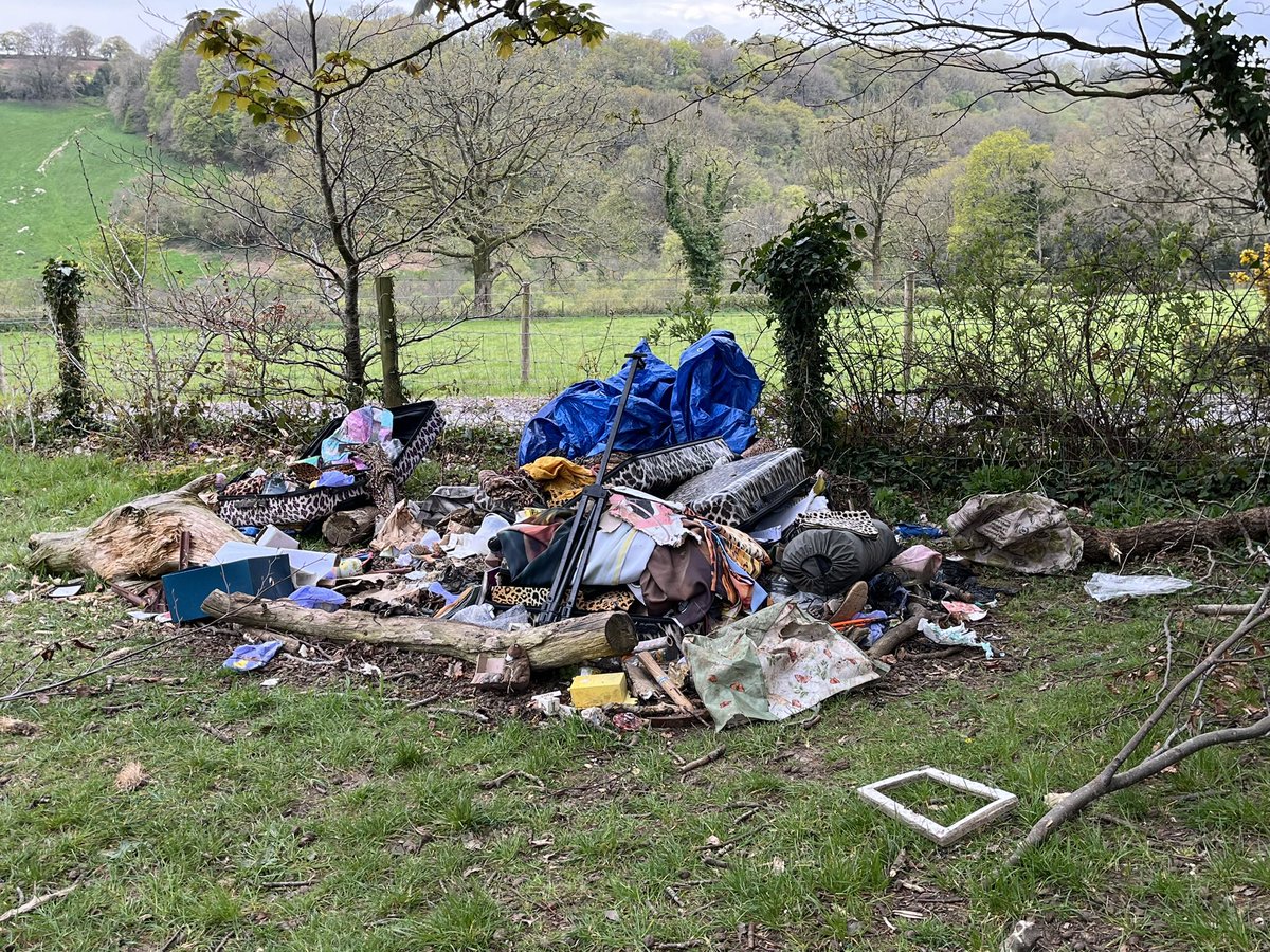 We had a lovely walk in our local Devon bluebell woods , BlackBury Camp , yesterday, but we couldn’t believe the mindless fly tipping we found !😡#btposse