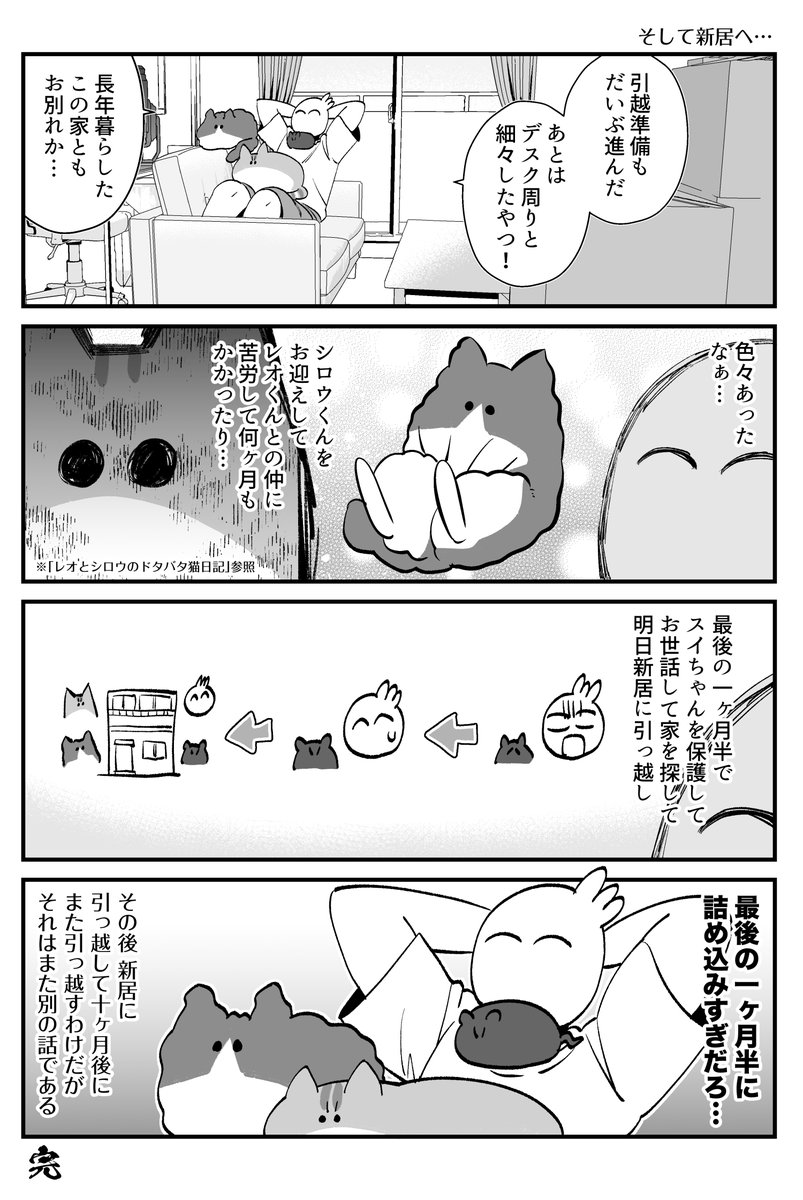 スイちゃん保護編22「そして新居へ…」#スクスクパヤパヤ 