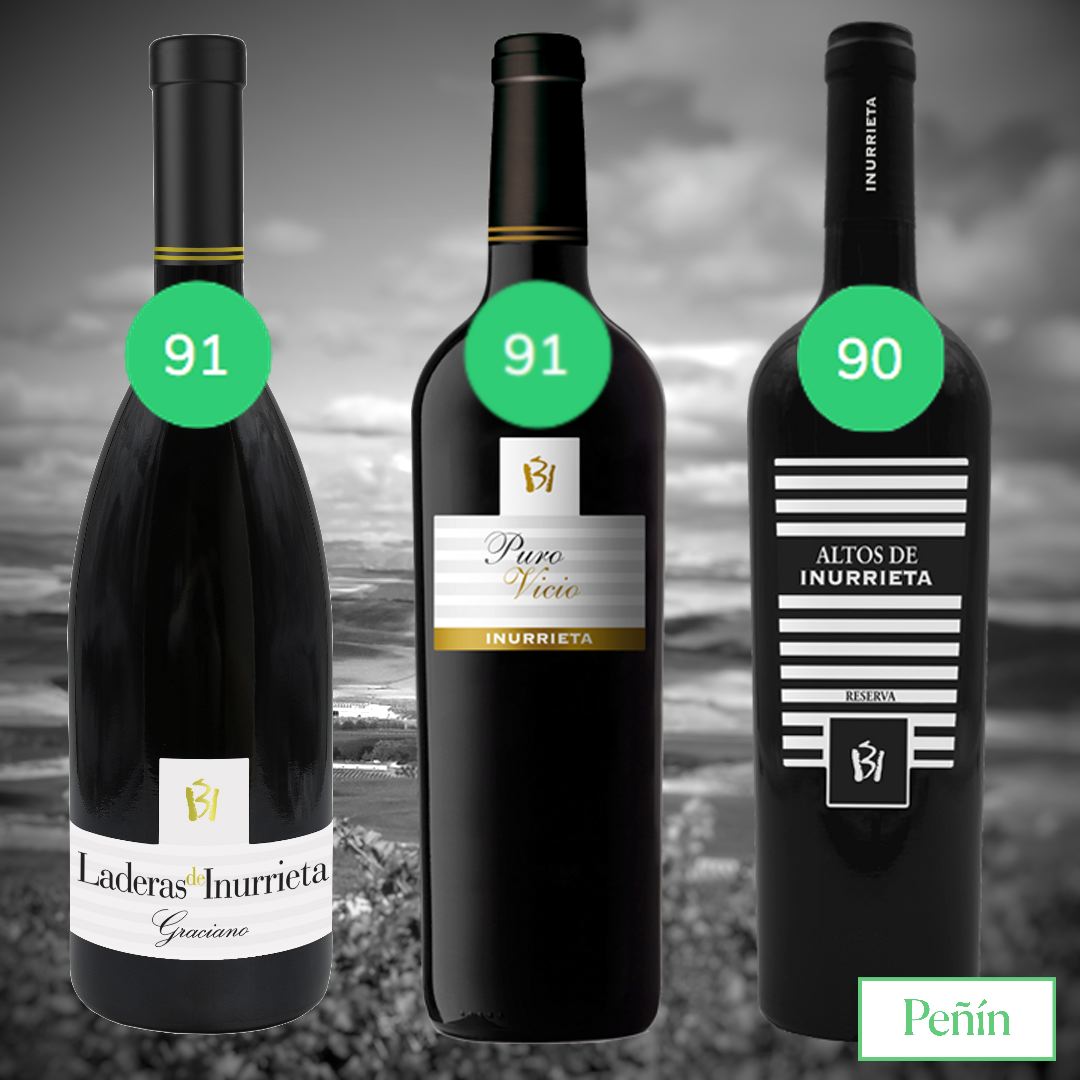 Tres vinos de Bodega Inurrieta coronan con más de 90 puntos la Guía Peñín 2025

La XXXVI Edición de la Guía Peñín, el manual de vinos español más completo del mundo, ha cerrado sus puertas con una participación de más de 2.000 bodegas y 9.400 vinos catados
-Laderas de Inurrieta