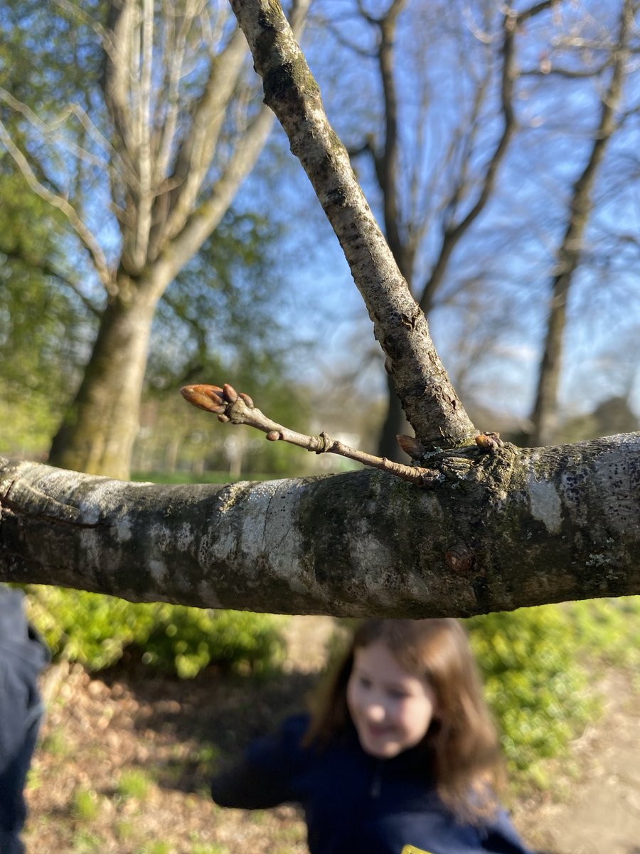 FernhillPr4's tweet photo. During our comprehension about Springtime we used our fabulous grounds to help us understand the passage more. #Foreverthrive #Springtimeishere https://t.co/3tlKiLHfi0