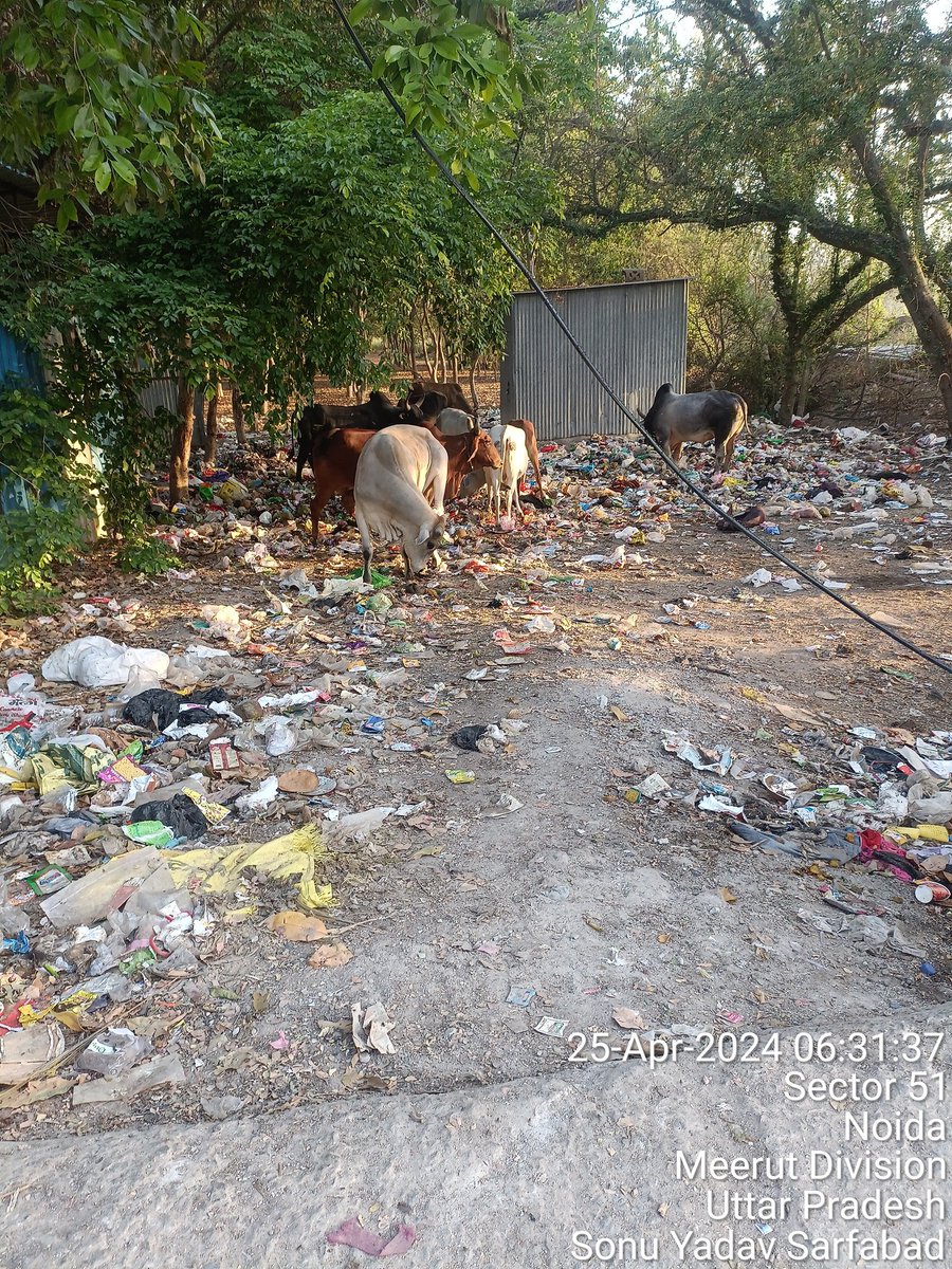 Sonu Yadav (अध्यक्ष युवा टीम सर्फाबाद ) tweet media