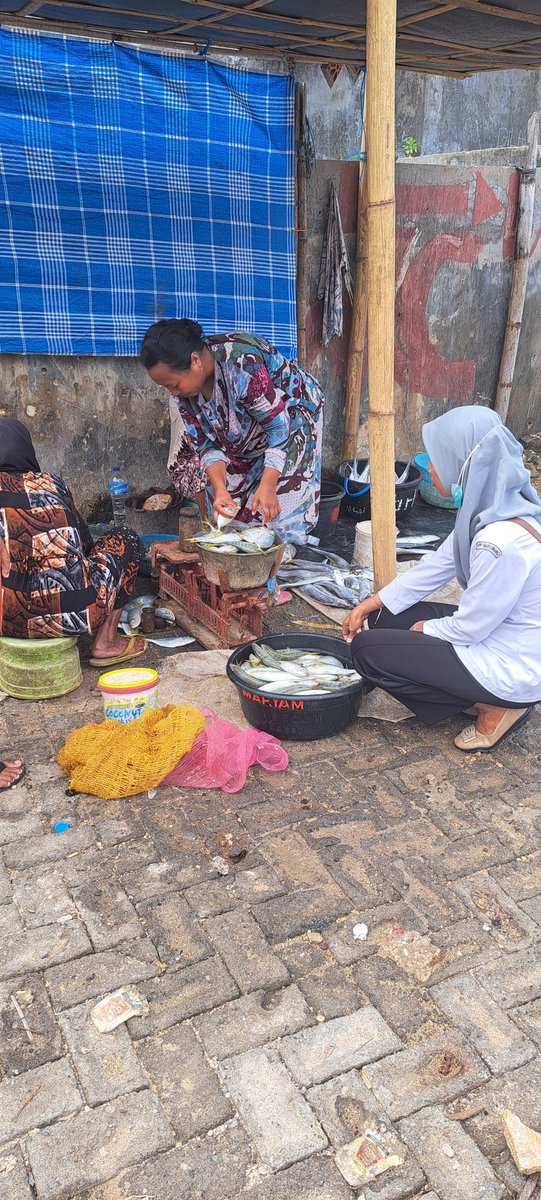 rullyEcha's tweet photo. Rabu (24/04), Rully Resha R, Luhkan Sumenep, 
di KUB Maha Jaya Ds Kapedi, melaporkan tangkapan harian Bpk. Ahmadi komoditas
Layur sebanyak 12Kg harga Rp. 25.000/kg, Selar sebanyak 20Kg harga Rp. 30.000/kg alat tangkap gillnet.

#GiatLuhkanSatminkalBWI
#SUMENEP
#Tangkap
#LuhLapor https://t.co/prDUs8kEp3