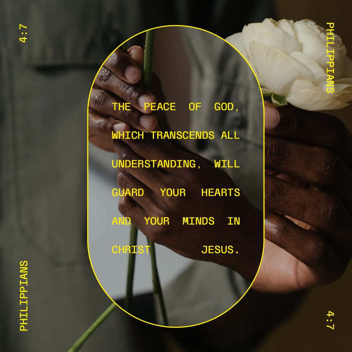 cla_yth's tweet image. Philippians 4:7
#LightsShineBright