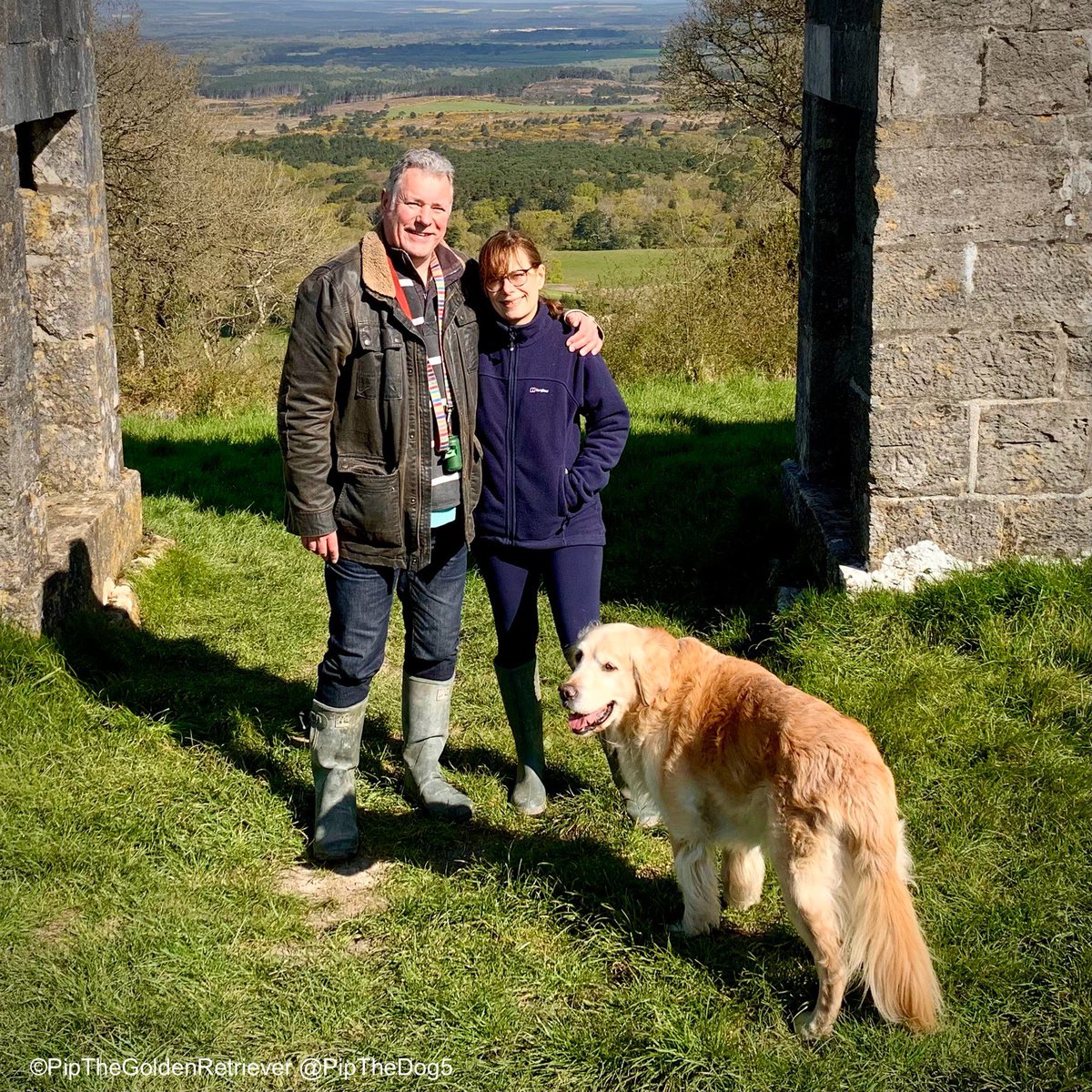 🌤️🐶📸 Family Guys: I’m with my human Mum and Dad on the beautiful Isle of Purbeck. #DogsOfX #GoldenRetrievers 🐕😀🐾
