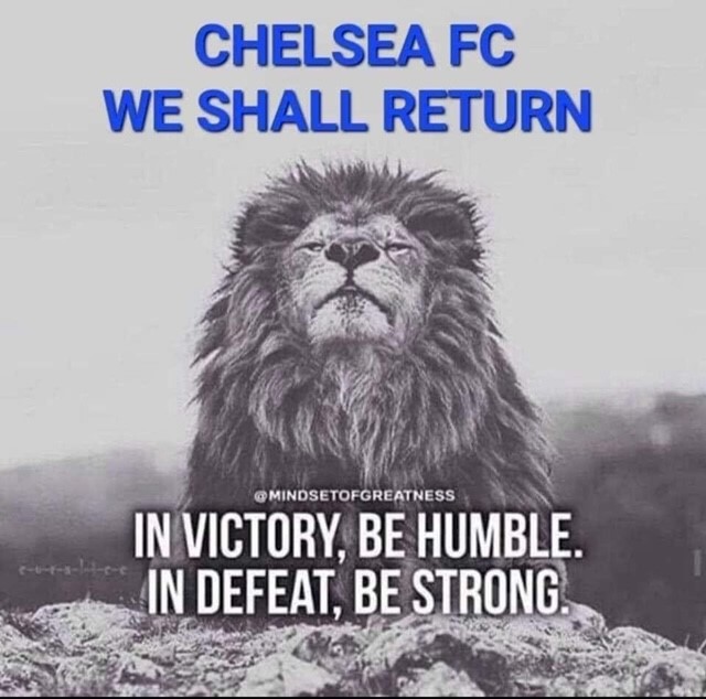 kevinas32896918's tweet image. Yes we will return....