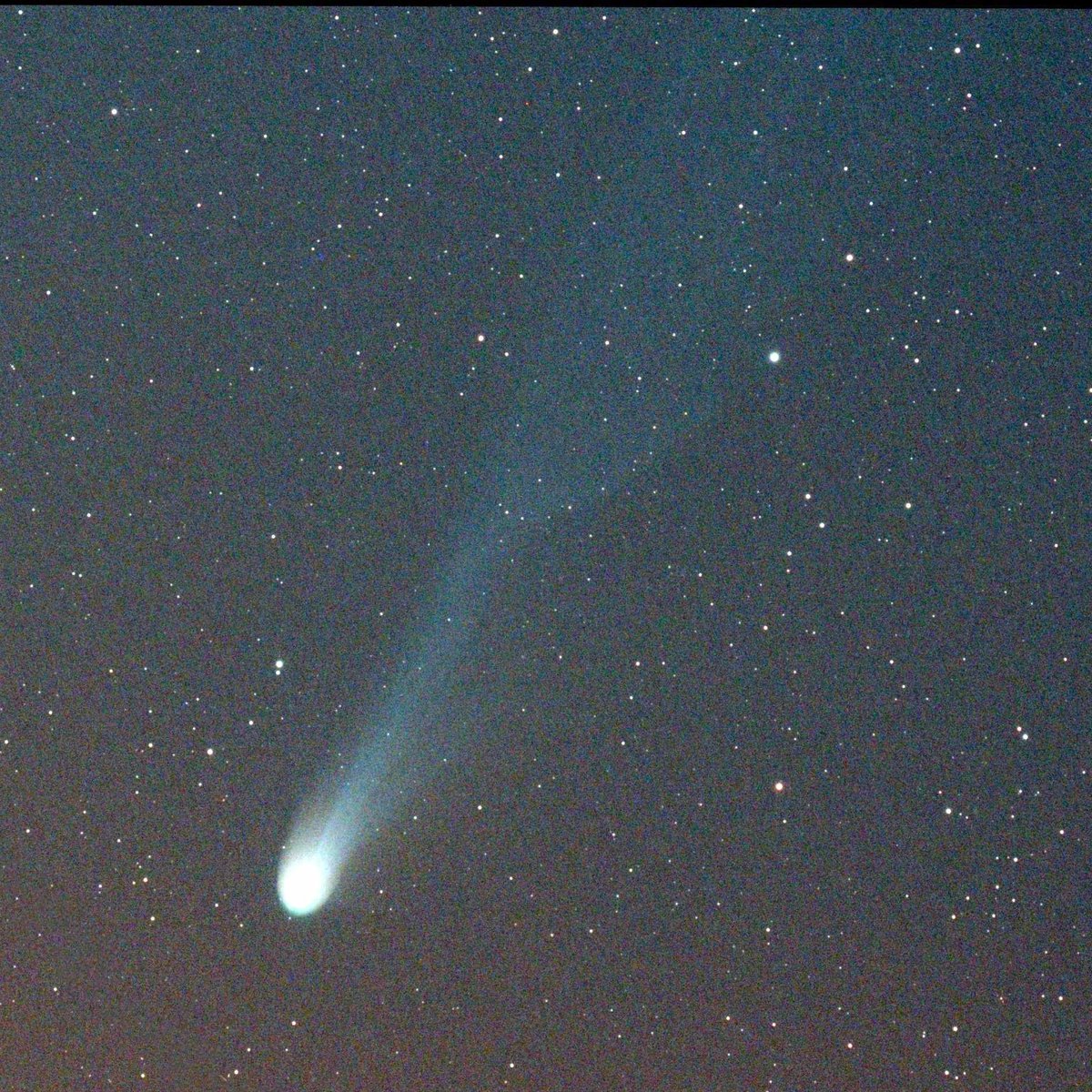 Late notice, but accepted for the reader's astrophotography section in the May issue of Tenmonguide. 

#天文ガイド 5月号

Below is another photo of reprocessed Comet Pons-Brooks on Apr 08, 2024